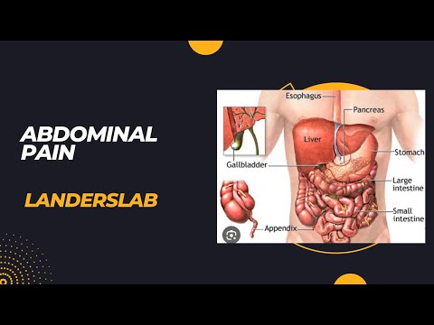 Four Abdominal Quadrants