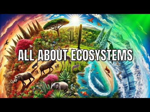 All About Ecosystems in 13 Minutes! | Quick & Easy Guide to Understanding Ecosystems