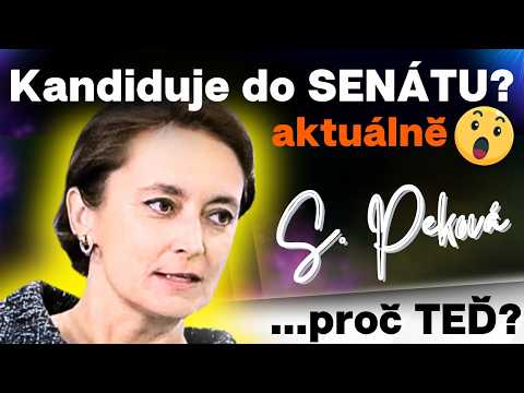 Soňa Peková vysvětluje, proč se rozhodla kandidovat do Senátu