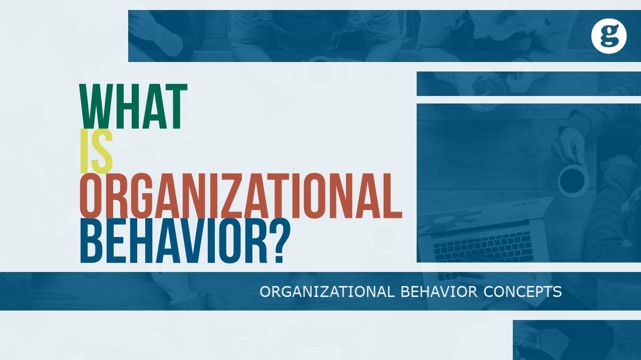 What is Organizational Behavior