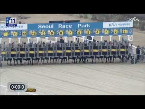 2012-01-28, Class 1 - Smarty Moonhak