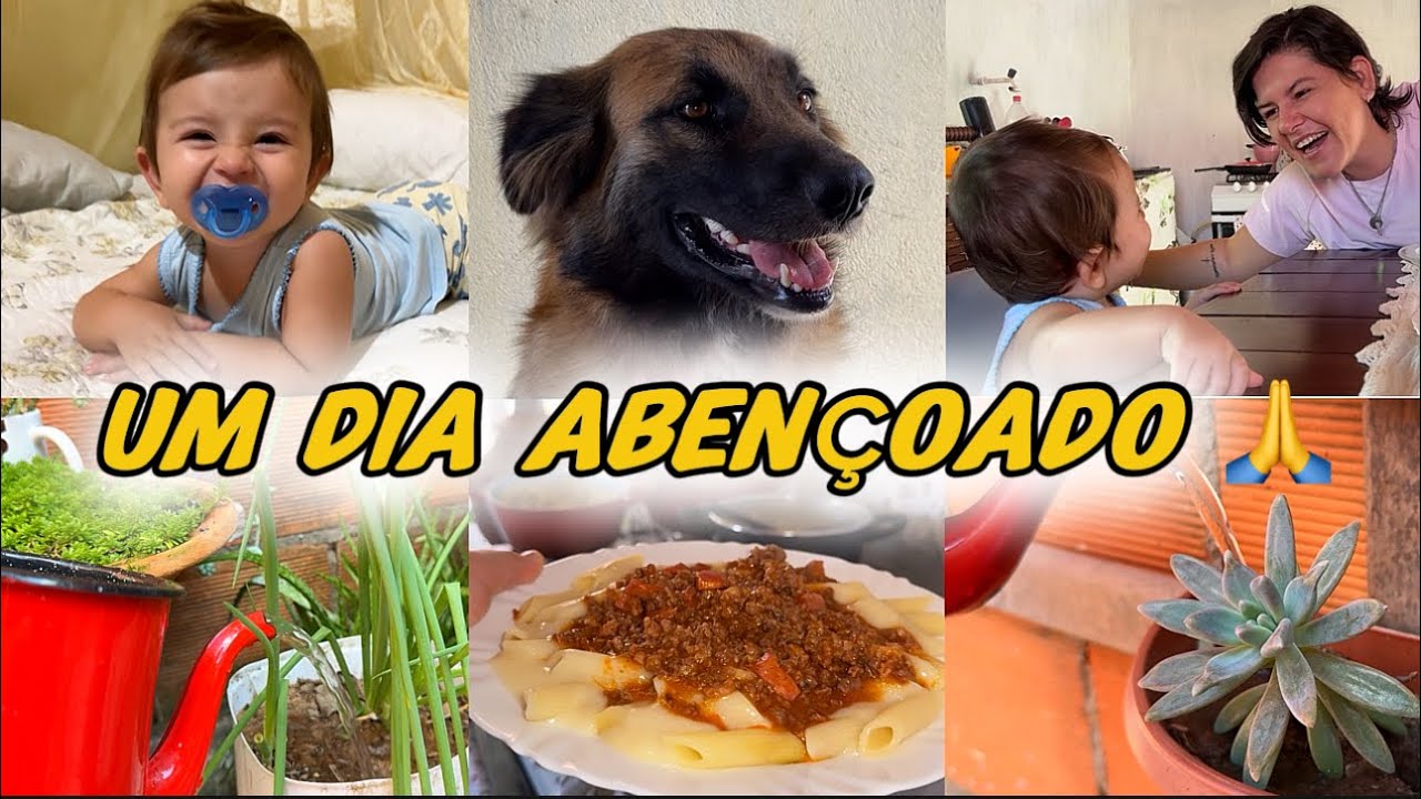 TERÇA-FEIRA + ROTINA + CUIDADOS COM A CASA