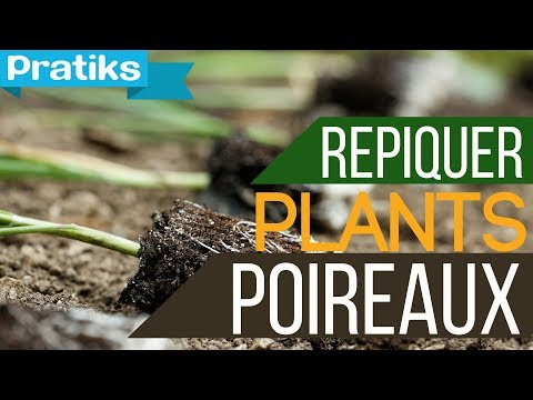 comment traiter rouille poireaux