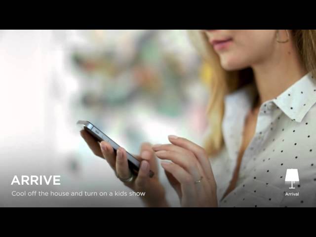 About Savant