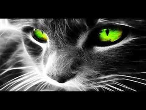 Ca la amsterdam remix