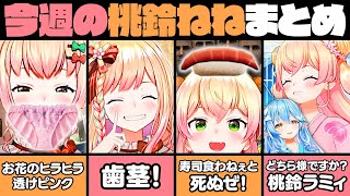 【9月5週目】今週の桃鈴ねね面白シーンまとめ【桃鈴ねね 雪花ラミィ 常闇トワ ホロライブ 切り抜き動画】ねねち最強伝説