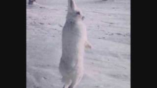 A Sunny Day in Glasgow - Failure