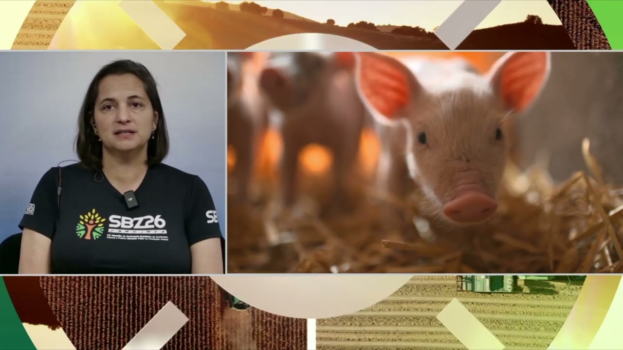 SBZ 2026 reúne especialistas para discutir o futuro da pecuária