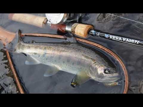 Palms Rera Kamuy RKSS-69ML 2.05m 3-10g Moderate-Fast