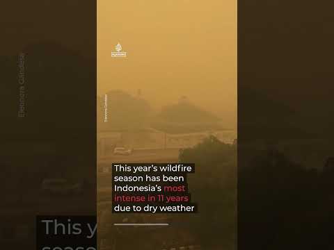Sky turns orange as wildfires rage across Indonesia | AJ #shorts
