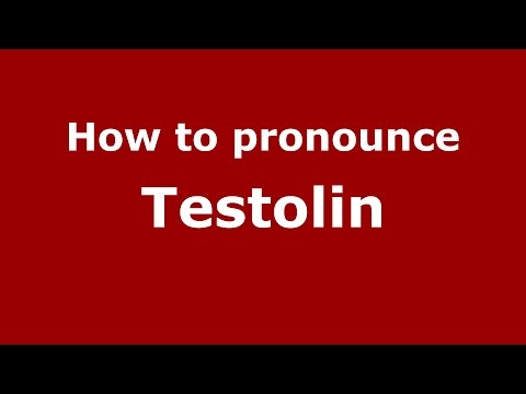 How to pronounce Testolin