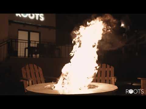 Roots Villa - cazare de vis la munte