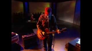 Sparklehorse with Fennesz Live on Swiss TV + French Interview 2003 "So Far Away"
