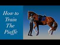 How To Teach Your Horse To Piaffe