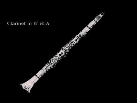 23 Clarinets - Clarinet Choir - Albeniz, Jota Aragoneza