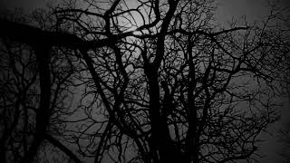 DEAD CAN DANCE | THE ARCANE [1984]