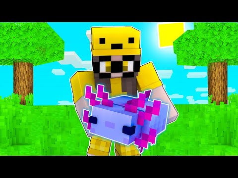 TROVO l' AXOLOTL più BELLO della BIG VANILLA - Minecraft