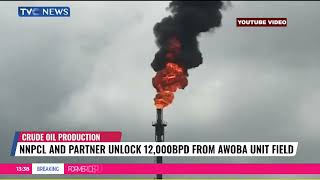 NNPCL And Partner Unlock 12,000bpd From Awoba Unit Field