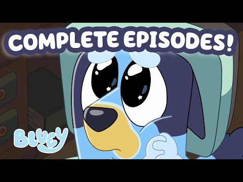 Bluey Full Episode Collection! - The BEST of Season 1 ☺️ 🌟 | Bluey
