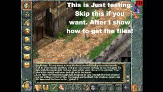 Baldur's Gate Demon Hunter character portrait + sound! [Tutorial]