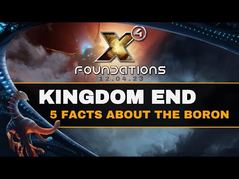 X4 Kingdom End - 5 FACTS ABOUT THE BORON