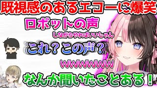 既視感のある、ぎるるのエコーに爆笑するひなーの【ぶいすぽっ！切り抜き】