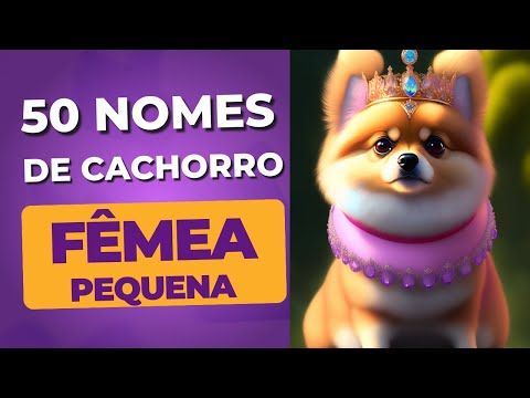 Nomes de cachorro PEQUENO FÊMEA- COISA MAIS FOFA!!!