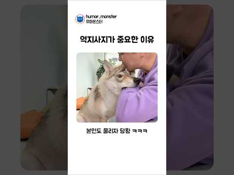 Even a pupper learned the importance of empathy