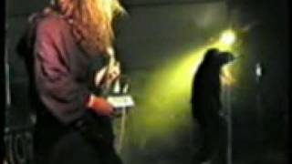 Video Nevinnost (Live 2004)