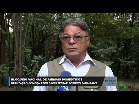 Bloqueio vacinal de animais domésticos acaba após sagui testar positivo para Raiva 27 04 2023