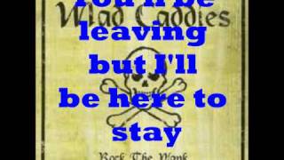 Mad Caddies: Booze Cruise (Lyrics on Screen)