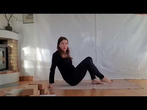 Mensfasen Ägglossning