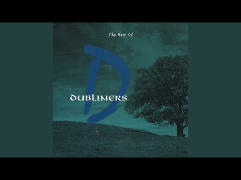 Reels (Cooley / The Dawn / Mullingar Races)