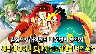 [원피스 분석] 밀짚모자해적단의 다섯번째 능력자 새롭게 태어난 모네의 눈눈열매를 먹은 우솝