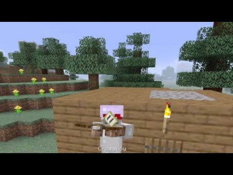 Minecraft lets play:ep 8 Woodland Mansion