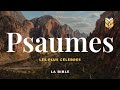 La Bible Psaumes De David Louis Segond Biblevision