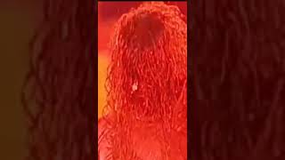 WWE Slim shady Eminem