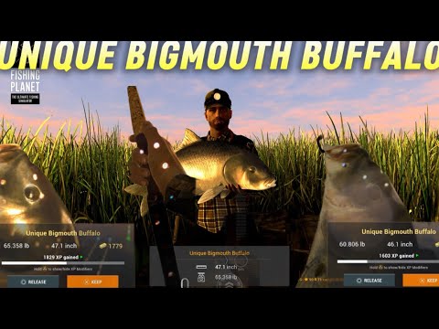 Unique Bigmouth Buffalo Ultimate Guide For Blue Crab Island - Fishing Planet