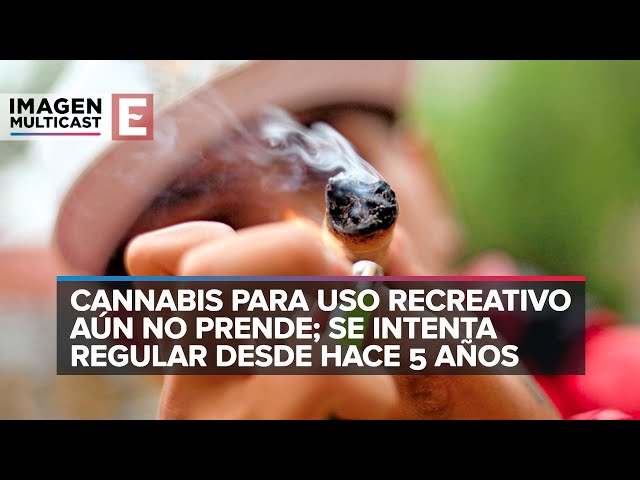 Youtube Imagen