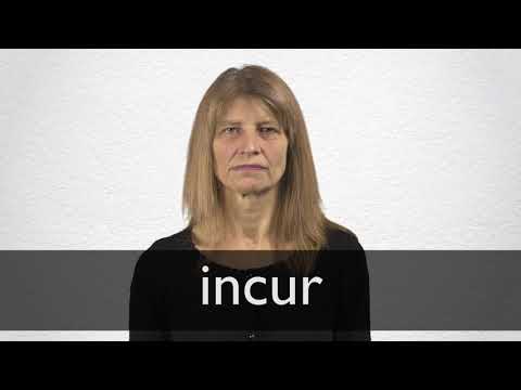Incur Synonyms Collins English Thesaurus