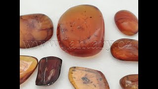  Křídový jantar SJ-53