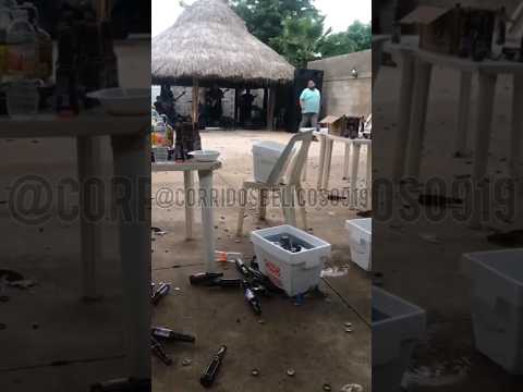 El Chimal 🎶 FP Del Nini 🐥 #corridos2023 #corridosbelicos #corridos #culiacan #elnini