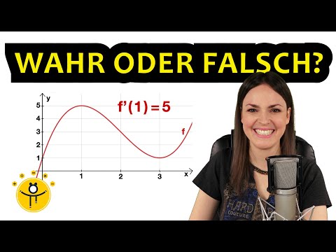 Sind die Aussagen WAHR oder FALSCH? – Analysis Funktionen, Graphen