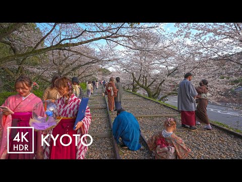 4K HDR | Sakura walk in Kyoto, keage-incline 京都、蹴上インクラインの桜 - Japan Walking Tour with Binaural Audio