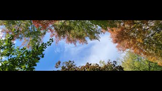 What Ratio Is Your Weather - WIIATWEP177