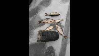 Открытие рыболовного сезона на горьковском водохранилище