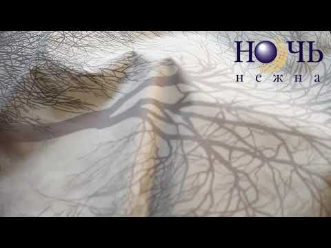 Миниатюра изображения товара Комплект постельного белья Ночь нежна Royal Лес 2 сп 50x70 / 70161-1+633