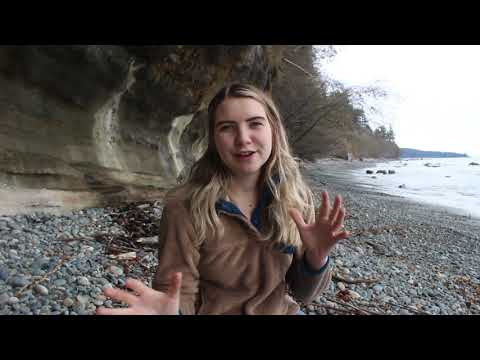 Elizabeth Rohlicek Studies Whale Fossils