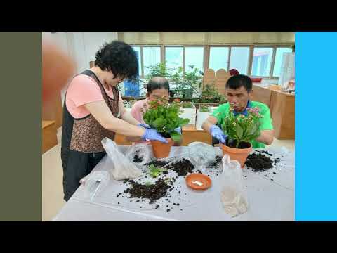 2025년 생활원예힐링치유 교육 영상