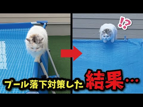 猫がプールに落ちまくるのでブルーシートで対策した結果…【関西弁でしゃべる猫】【猫アテレコ】